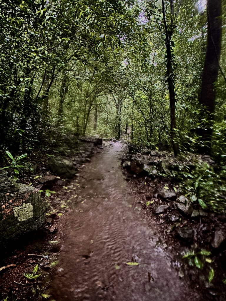 WhatsApp Image 2025-07-26 at 13.21.44_80900b13